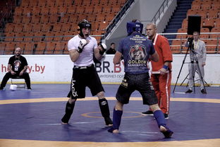 比赛进入白热化阶段，双方队伍势均力敌