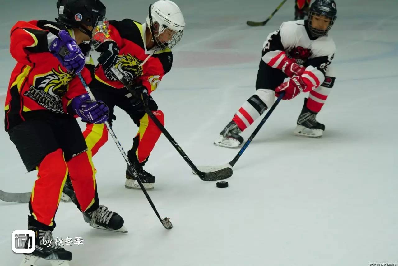 球队备战国内赛事，拉近间隔优势