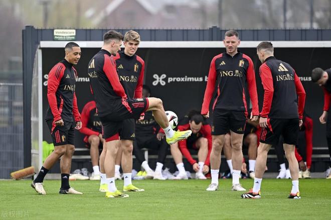 奥地利队在比赛中展现出强大实力