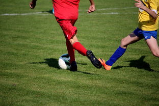 爱游戏活动-巴黎圣日耳曼球员内部矛盾严重，俱乐部高层急于协调解决